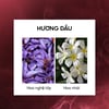 Hương đầu Nước hoa Lilith and Eve Forbidden Fruit Eau de Perfum