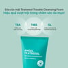 Thành phần Sữa rửa mặt Beyond Angel Teatreeol Cleansing Foam 200ml