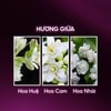 Hương giữa Nước hoa Lilith and Eve Loss of Innocence Eau de Perfume