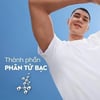 Thành phần Sáp khử mùi NIVEA MEN Silver Protect
