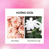 Hương giữa Nước hoa Lilith and Eve Dream of Heaven Eau de Perfum