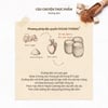 Câu chuyện thực phẩm Skinfood Black Sugar Perfect Scrub Foam