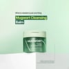 Isntree Mugwort Calming Deep Cleansing Balm 100ml