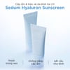 Công dụng Kem chống nắng cấp ẩm Abib Sedum Hyaluron Sunscreen SPF 50+ PA++++ 50ml