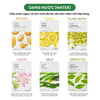 Mặt nạ The Face Shop Real Nature Face Mask dạng nước