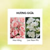 Hương giữa Nước hoa Lilith and Eve Garden of Eden Eau de Perfume