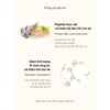 Thành phần Skinfood Acorn Pore Peptide Pad