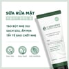 Sữa rửa mặt Caryophy Portulaca Cleansing Foam