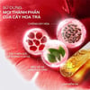 thành phần Shiseido Ultimune Power Infusing 4.0 Serum