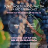 Thành phần Toner pad Neogen Dermalogy Wine Lift PHA Gauze Peeling 30 miếng