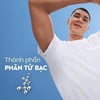 Thành phần Xịt khử mùi NIVEA MEN Silver Protect
