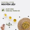 Nguyên liệu Sữa dưỡng ẩm INNISFREE Olive Vitamin E Real Lotion 170ml