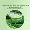 Gel dưỡng The Face Shop Jeju Aloe 300ml chiết xuất nha đam