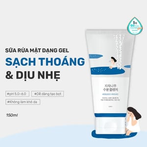Round Lab Birch Juice Moisturizing Cleanser