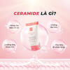 Kem xóa mờ rạn da Rejuvaskin Stretch Mark Cream Ceramide là gì