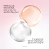 Thành phần Kem phục hồi chống lão hóa d’Alba PDRN Repair Capsule Cream 50g