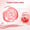 Thành phần Lăn khử mùi sáng da Grace and Glow