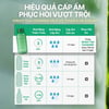 Toner cấp ẩm INNISFREE Green Tea Ceramide Milk 160ml hiệu quả vượt trội