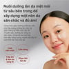 Công dụng chính Kem dưỡng ngừa lão hóa INNISFREE Black Tea Enhancing Cream 50ml
