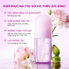 Xịt dưỡng tóc mềm mượt Grace and Glow