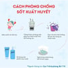 Cách phòng chống sốt xuất huyết