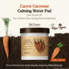 Skinfood Carrot Carotene Calming Water Pad