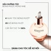 Công dụng Dầu dưỡng tóc nước hoa Kérastase Gloss Absolu Glaze Drops 45ml