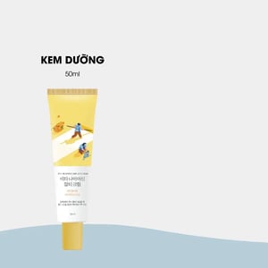 Round lab Vita Niacinamide Dark Spot Cream