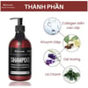 Thành phần Dầu gội kiềm dầu Blairsom Shampoo 500ml