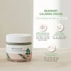 Kem dưỡng da Round lab Mugwort Calming Cream