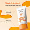 Thành phần chính Kem chống nắng lâu trôi The Face Shop Waterproof Sun Cream