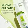 Dung dịch vệ sinh phụ nữ NeoCharm 100ml không Sulfate
