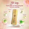 Thành phần Dầu gội Nguyên Xuân dược liệu 250ml
