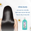 Công dụng dầu gội hoa bưởi Thorakao