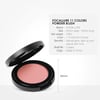 Thông tin phấn má hồng Focallure 11 Colors Powder Blush