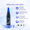 Nước uống 82X Stem Cell Collagen 500ml