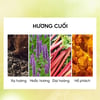 Hương cuối Nước hoa Lilith and Eve Garden of Eden Eau de Perfume