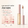 Công dụng Kem che khuyết điểm THE SAEM Cover Perfection Fixealer 6.5g
