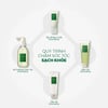 Quy trình chăm sóc tóc AROMATICA