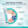 Thành phần Gel giảm mụn sưng viêm Azderma Zincerra Acne Gel 15g