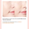 Kem che khuyết điểm THE SAEM Cover Perfection Fixealer 6.5g che phủ hoàn hảo