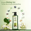 Thành phần Dầu gội dược liệu Nguyên Xuân hương Bưởi 520g