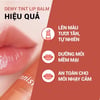 Hiệu quả Son dưỡng môi có màu INNISFREE Dewy Tint Lip Balm