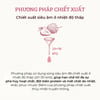 Phương pháp chiết xuất Skinfood Strawberry Sugar Food Mask