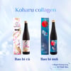 Nước uống 82X Collagen Koharu 500ml bao bì mới