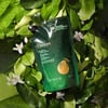 Túi Refill dầu gội bưởi Cocoon 500ml