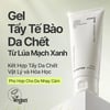 INNISFREE Green Barley Mild Peeling Gel