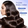 Thành phần chính Dầu xả hương nước hoa Grace and Glow
