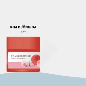 Round Lab Camellia Deep Collagen Firming Cream