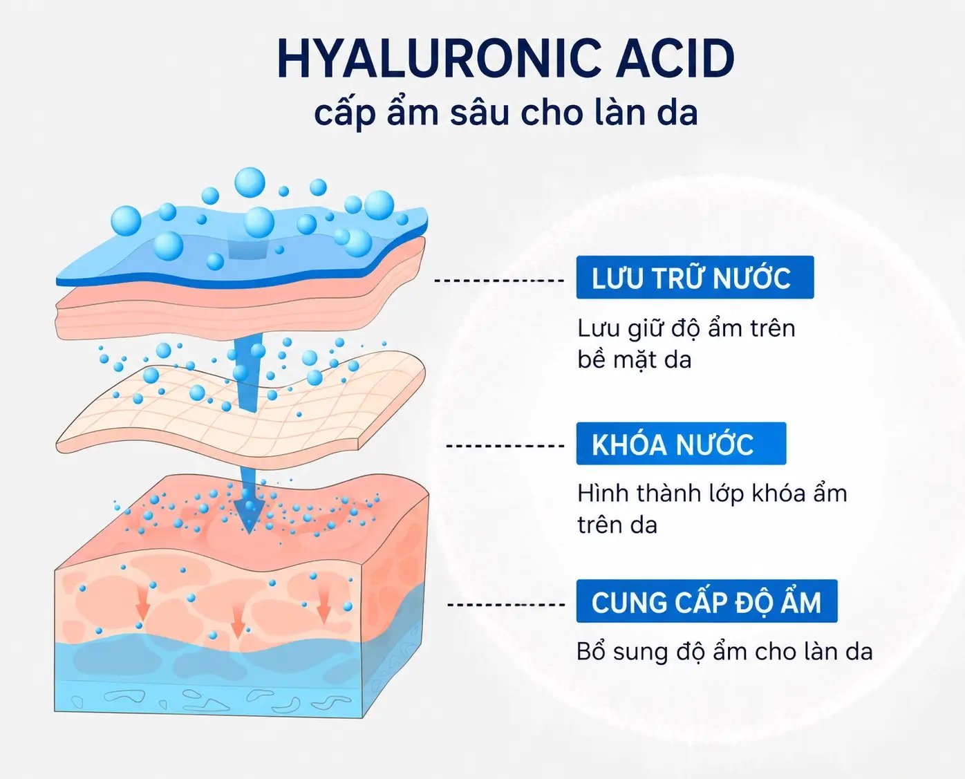 Cơ chế hoạt động Hyaluronic Acid